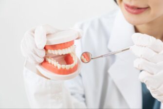 歯の模型で説明する歯科医師