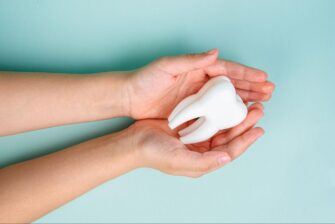 大きな歯の模型を持つ手